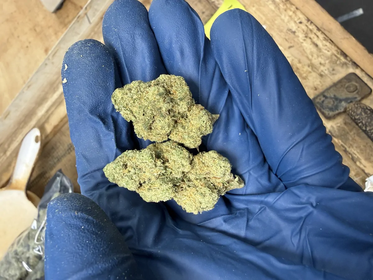 Oreoz Flower